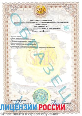 Образец сертификата соответствия (приложение) Внуково Сертификат ISO 14001